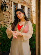 Roshni Mirror Work Embroidered Party Wear Suit Set